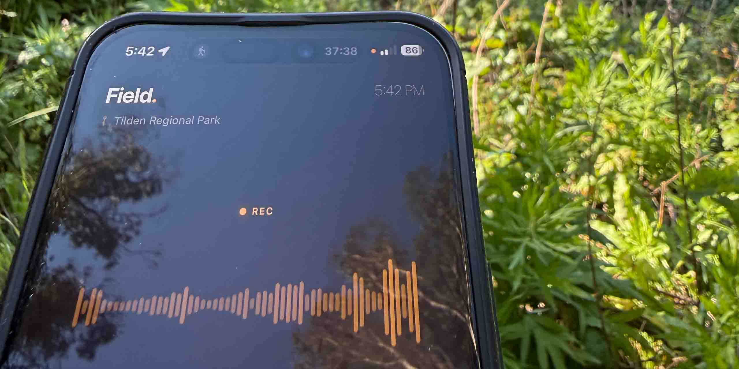 Field recording in progress at Tilden Regional Park — an iPhone resting in green foliage, the Field app on screen showing the place name, a REC indicator, and a live coral waveform.