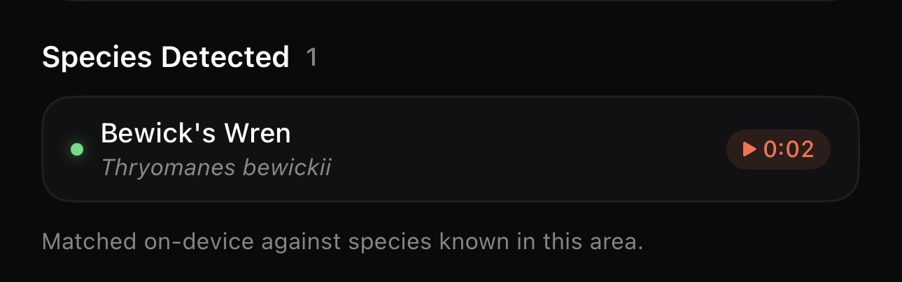 Field's Species Detected panel: a Bewick's Wren (Thryomanes bewickii) identified from a recording, with a 2-second clip to play, matched on-device against species known in the area.